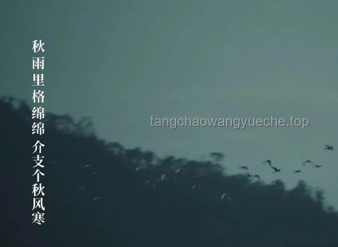 **深夜独白：那份孤独奋斗后的成就感，这感觉，谁懂！！！**